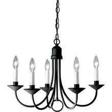 Load image into Gallery viewer, Progress Lighting P4008-31 21&quot; 5-Light Textured Black Chandelier
